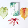 Written on a Leaf Greeting Cards - Set of 30