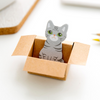 Kitty In A Box Sticky Notes