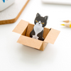 Kitty In A Box Sticky Notes