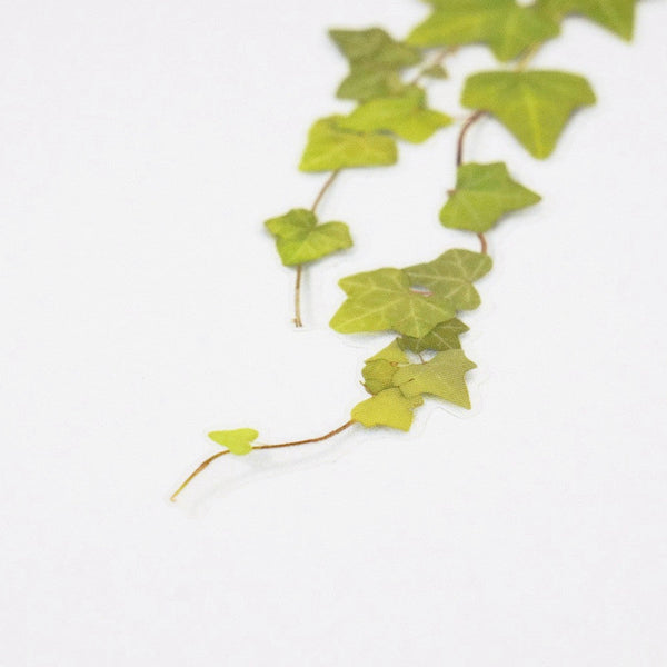 Appree Pressed Flower Sticker - Ivy
