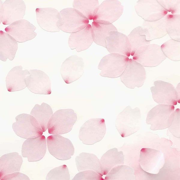 Bande Washi Tape Sticker Roll - Cherry Blossom Petals