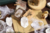 Blossom Impressions Wooden Stamps