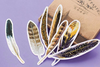 Colorful Feather Bookmarks - Set of 30