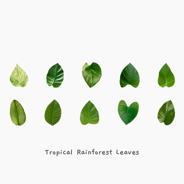 Fall Leaves Masking Sticker Roll