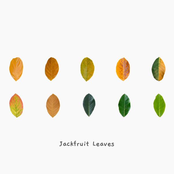 Fall Leaves Masking Sticker Roll