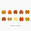 Fall Leaves Masking Sticker Roll