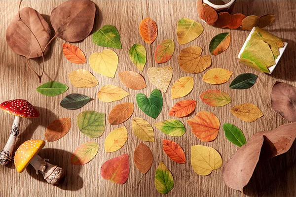 Fall Leaves Masking Sticker Roll