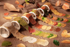 Fall Leaves Masking Sticker Roll