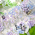 Holographic Wisteria Clear Masking Tape - Extra Wide