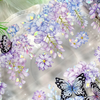 Holographic Wisteria Clear Masking Tape - Extra Wide