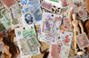Infeel.me Deco Stickers - Four Seasons - Summer