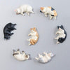 Napping Cat Magnets - Set of 6