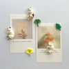 Napping Cat Magnets - Set of 6