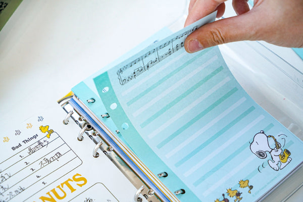 Peanuts Snoopy Transparent Binder - Peanuts Records - Limited Edition