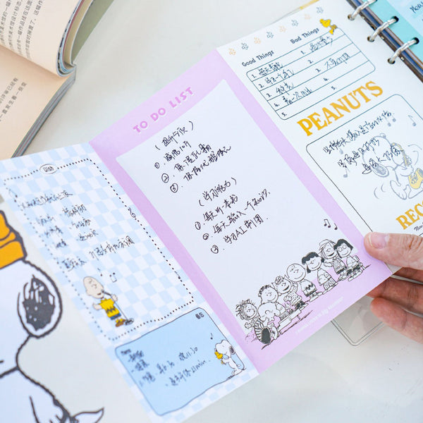 Peanuts Snoopy Transparent Binder - Peanuts Records - Limited Edition