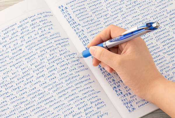 Pentel Energel Liquid Gel Ink Pen