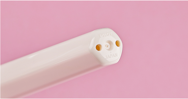 Pilot Kakuno Fountain Pen - Fine Nib