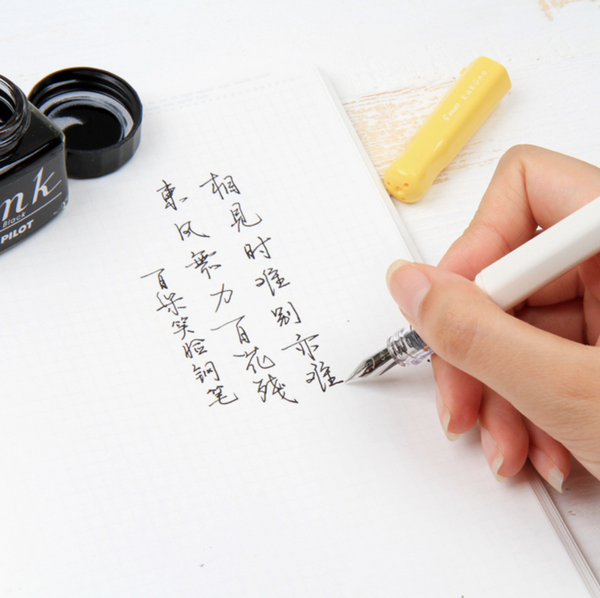 Pilot Kakuno Fountain Pen - Fine Nib