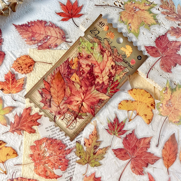 Pressed Botanical Ephemera Stickers