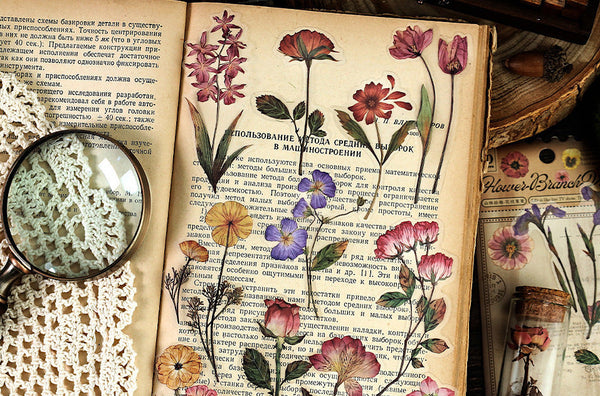 Pressed Botanical Ephemera Stickers