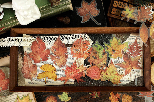 Pressed Botanical Ephemera Stickers