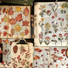 Pressed Botanical Ephemera Stickers