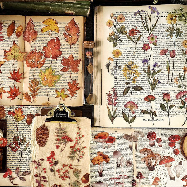 Pressed Botanical Ephemera Stickers