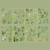 Seasonal Splendor Stickers - Set of 8 Sheets
