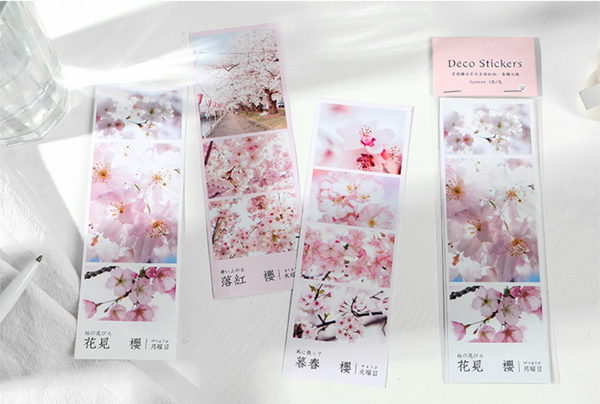 Spring Cherry Blossom Hanami Deco Stickers