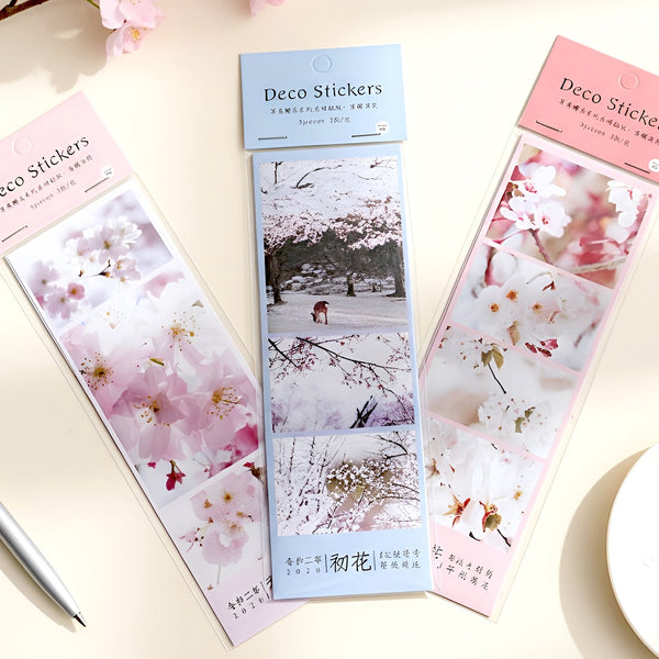 Spring Cherry Blossom Hanami Deco Stickers