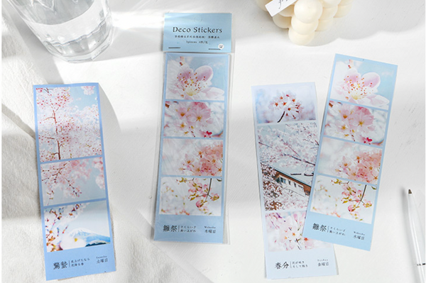 Spring Cherry Blossom Hanami Deco Stickers