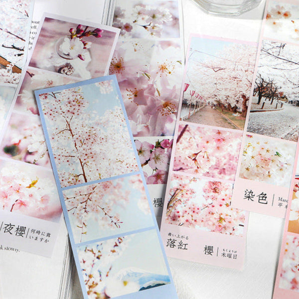 Spring Cherry Blossom Hanami Deco Stickers