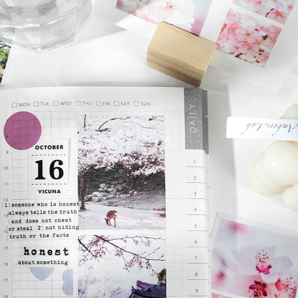 Spring Cherry Blossom Hanami Deco Stickers