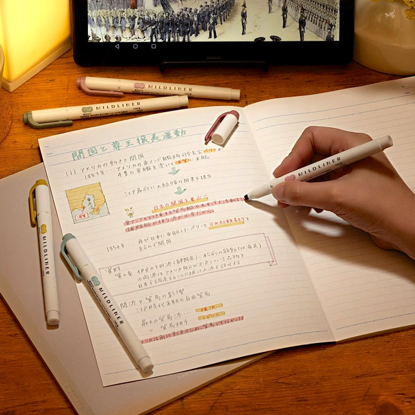 Zebra Mildliner Double Sided Highlighters - NEW COLORS