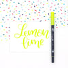 Tombow ABT Dual Brush Pens - 12 New Colors