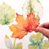 Written on a Leaf Greeting Cards - Set of 30