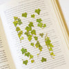 Appree Pressed Flower Sticker - Ivy