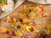 Fall Leaves Long Strip Stickers