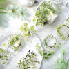 Greenery Garland Clear Masking Tape - Extra Wide