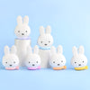 Miffy Earbuds & Little Treasures Silicone Pouch - Surprise Box