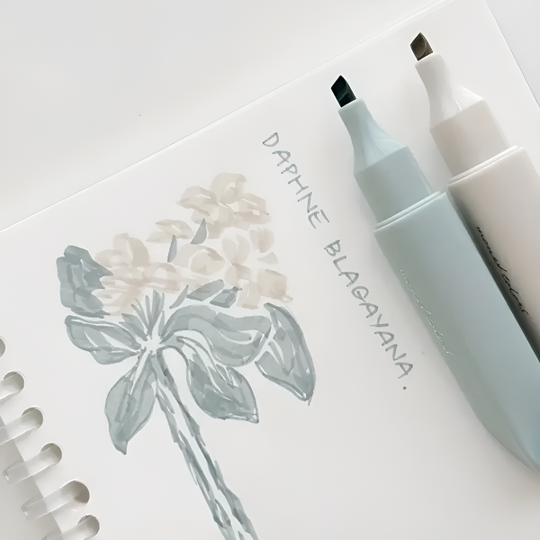 Monet Colors Aesthetic Highlighters