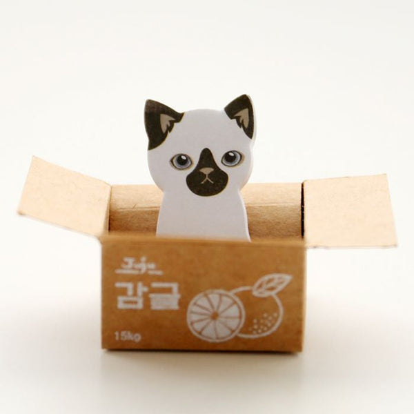 Kitty In A Box Sticky Notes