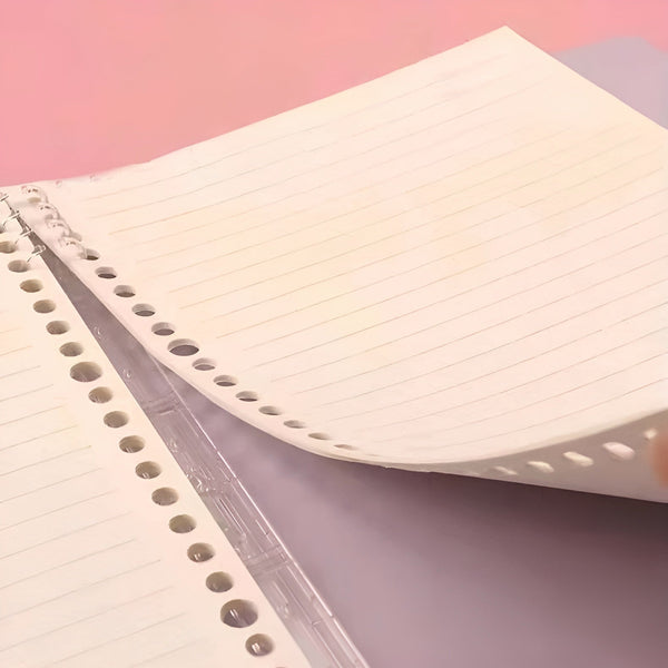 Pokemon Candy Quest B5 Binder Notebook - Limited Candy Quest Collection