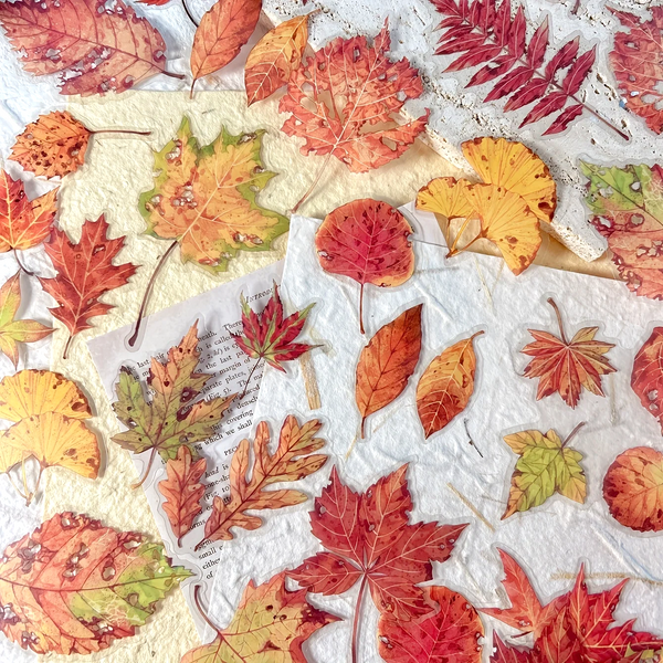 Pressed Botanical Ephemera Stickers