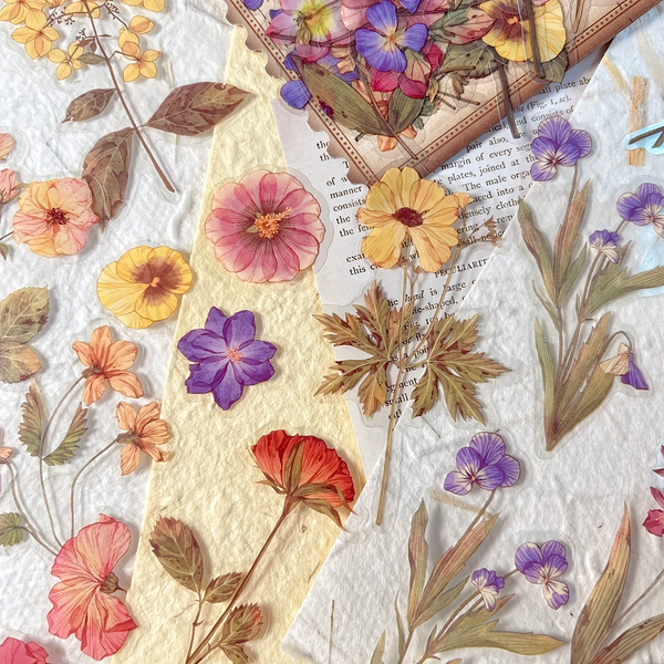 Pressed Botanical Ephemera Stickers