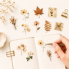 Pressed Flower Sticker Pack – Vintage Autumn