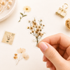 Pressed Flower Sticker Pack – Vintage Autumn