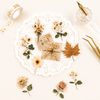 Pressed Flower Sticker Pack – Vintage Autumn