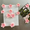 Sakura Bloom Magnets - Set of 12
