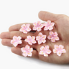 Sakura Bloom Magnets - Set of 12